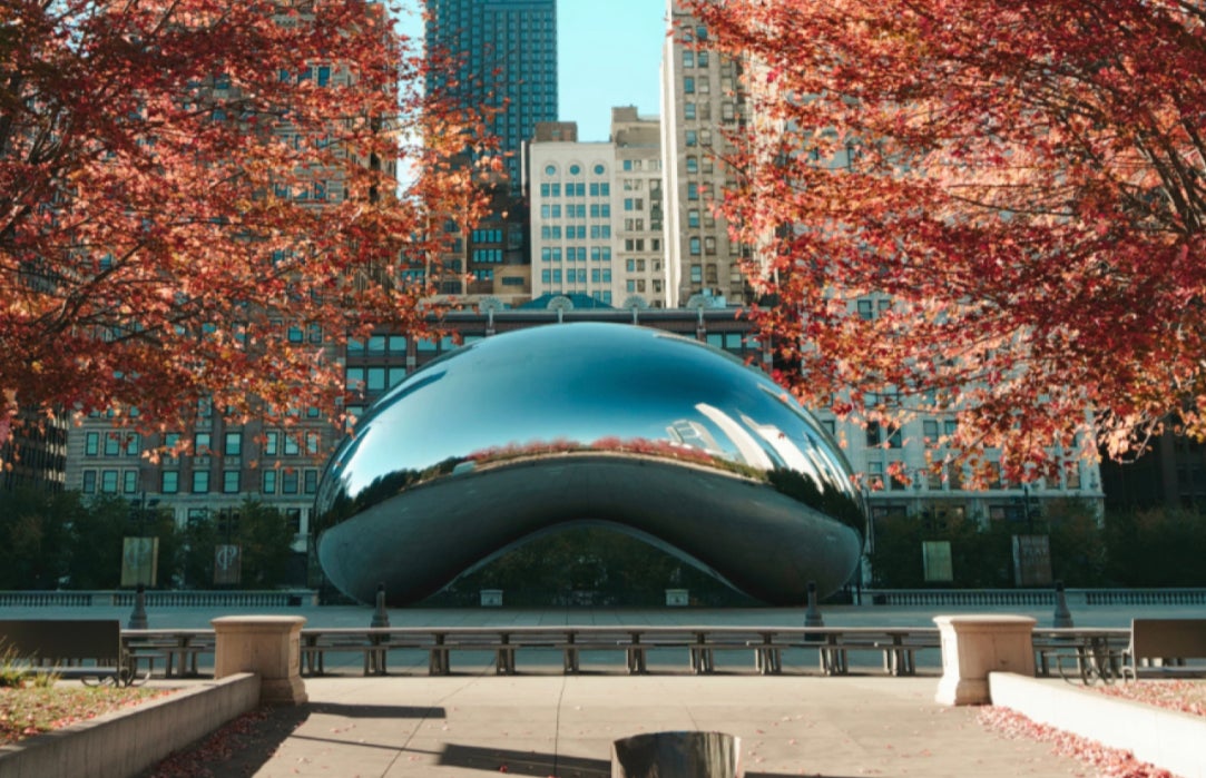 bean